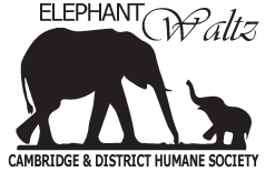 The Elephant Waltz formal attire event is hosted by the Cambridge and District Humane Society
