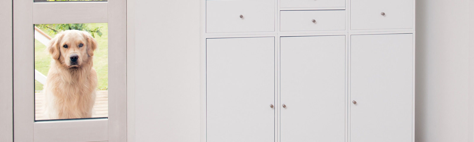 Cambridge & District Humane Society Foster Program