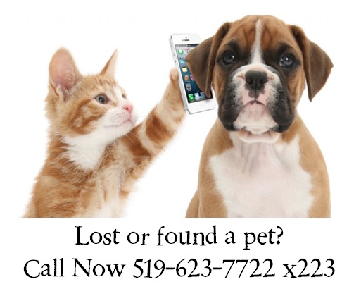 Lost or found a pet? Call Now (519) 623-7722 Ext 223