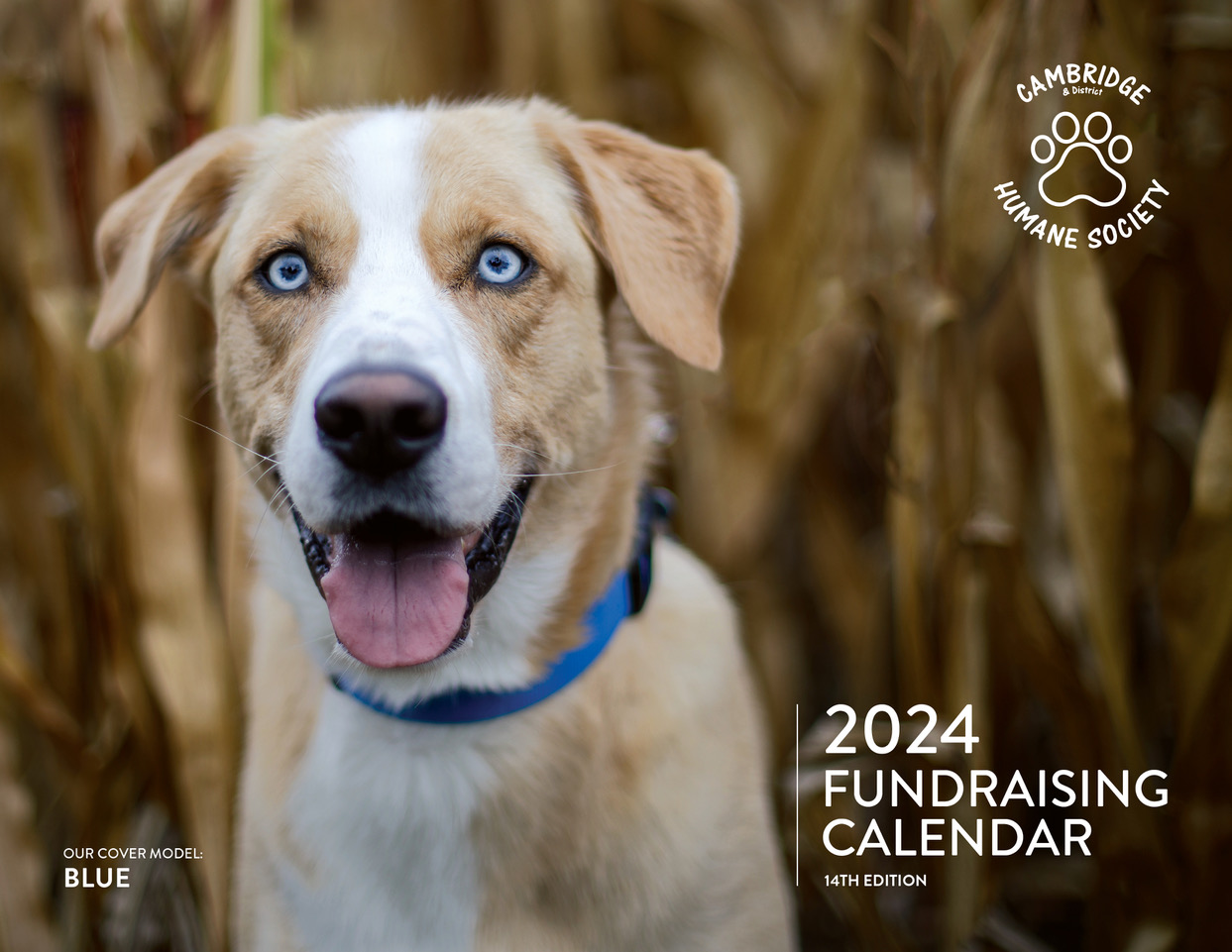 2024 fundraising calendar cover