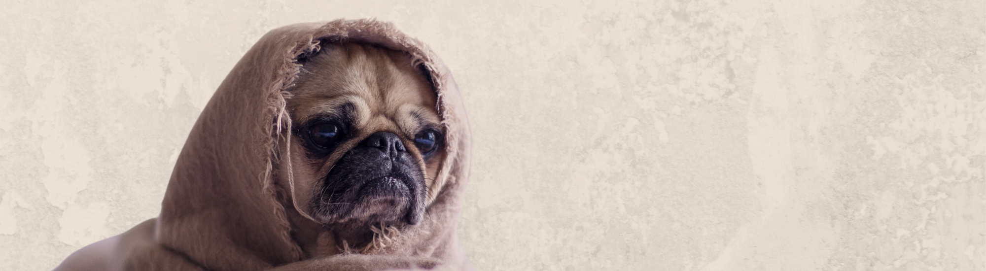 2026 Fundraising Calendars Are Available!