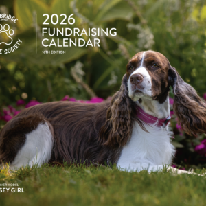 2026 fundraising calendar for the cambridge humane society