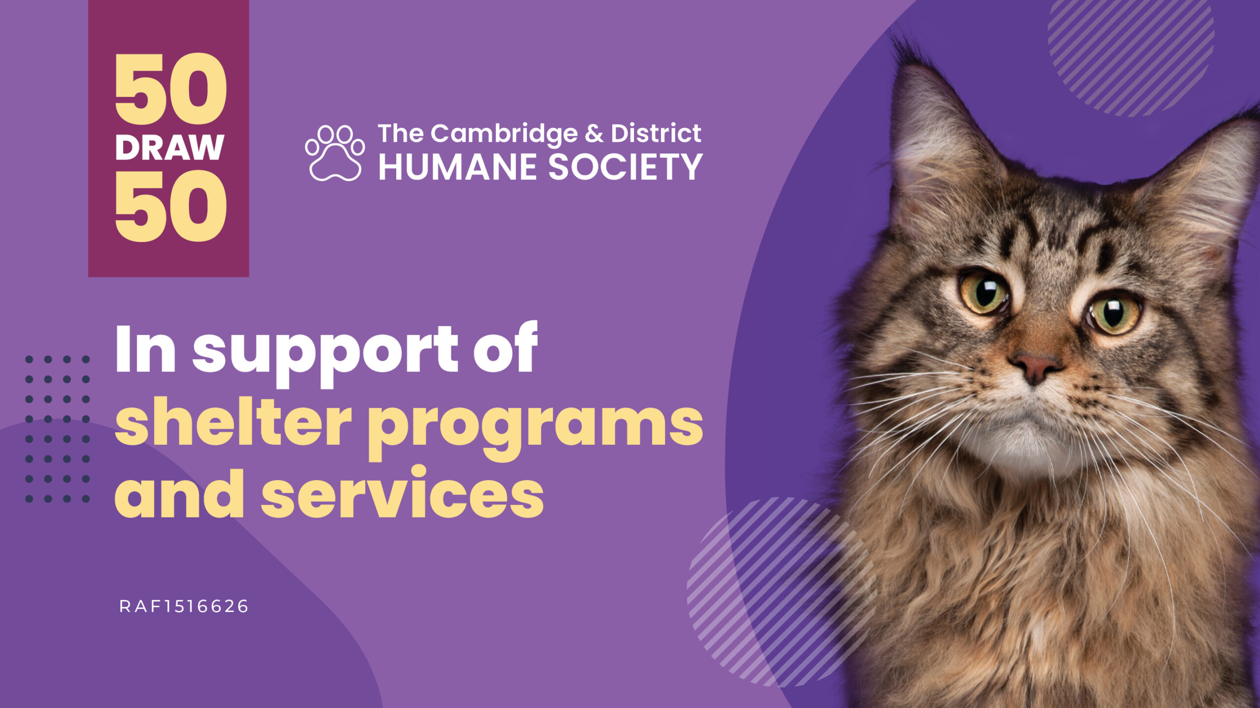 Cambridge Animal Shelter humane society Raffle Fundraiser